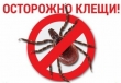 Памятка для детей и взрослых «Осторожно – клещи!»