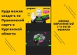 Куда сходить по Пушкинской карте в Курганской области с 14 по 20 февраля 2022 года