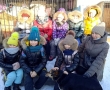 Экскурсия в пункт передержки животных