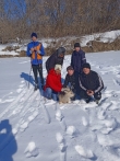 Косуля